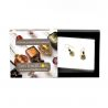 Jo-jo mini nero e oro orecchini-gioielli in autentico vetro di murano di venezia