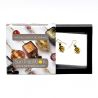 Gull øredobber-smykker ekte murano-glass