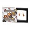 Red and gold earrings genuine murano glass